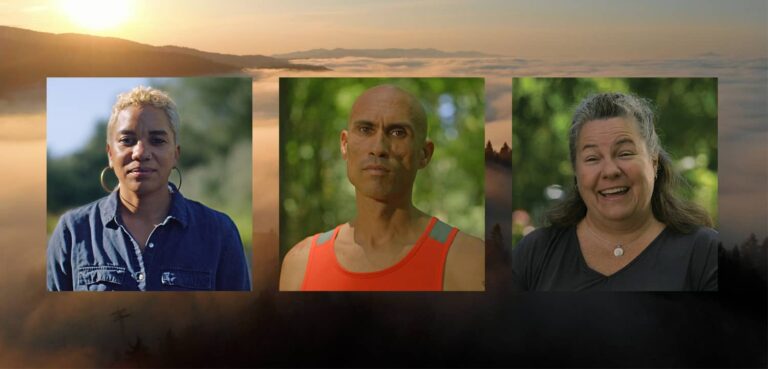 Forest Stories from the Tillamook