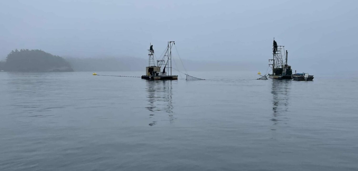 Lummi Island Reef Netting: Eat This Salmon - Wild Salmon Center