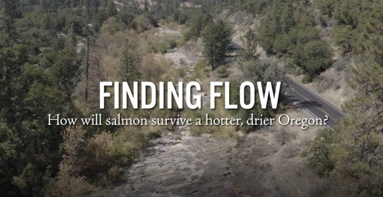 Watch: Finding Flow