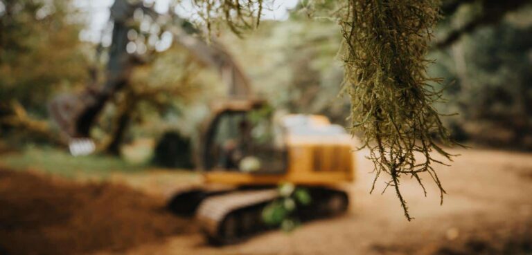 Support the Private Forest Accord