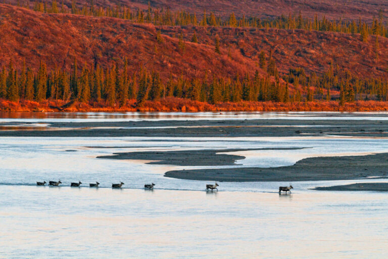 New fronts open in West Susitna campaign