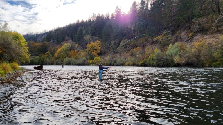 Meet Dr. Tasha Thompson