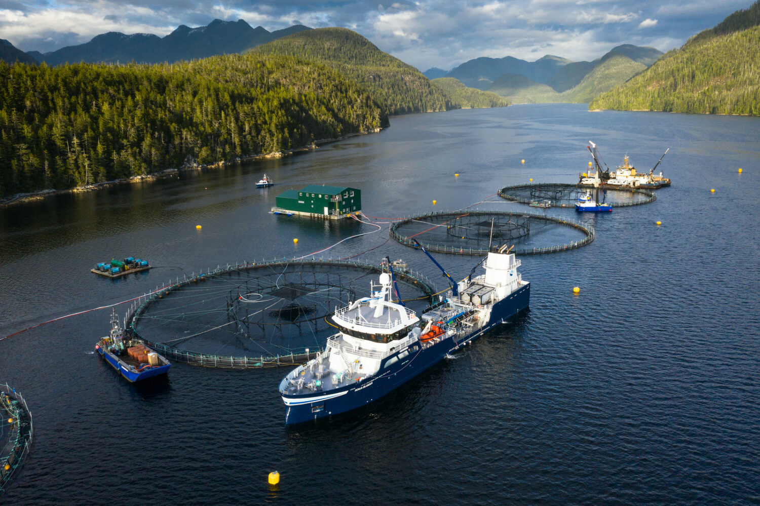 Here's Why We're Working To End Open Net-Pens in B.C. - Wild Salmon Center