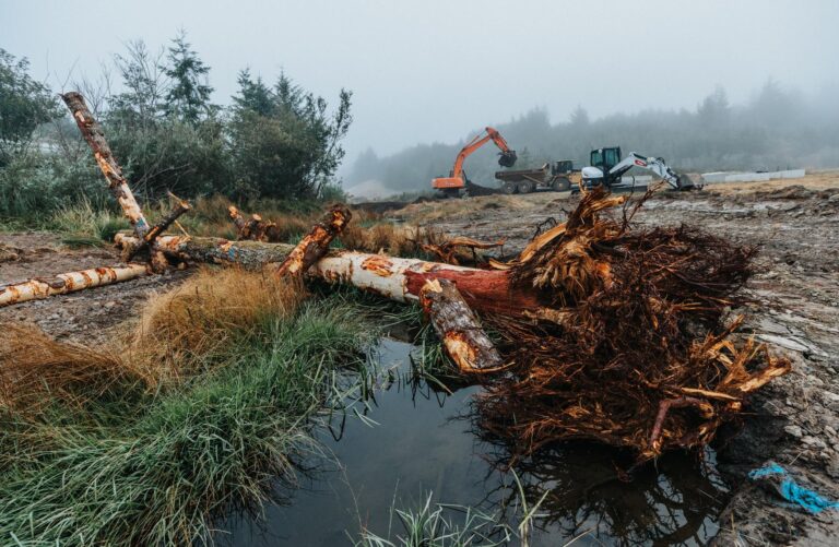 A New Boom for the Pacific Northwest’s Restoration Economy