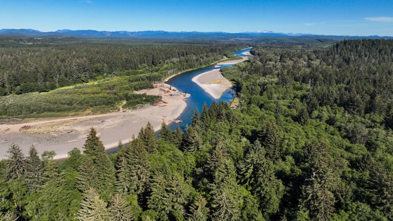 Natural Infrastructure: Coastal Restoration