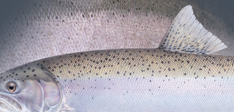 Heart of Steel – PART I