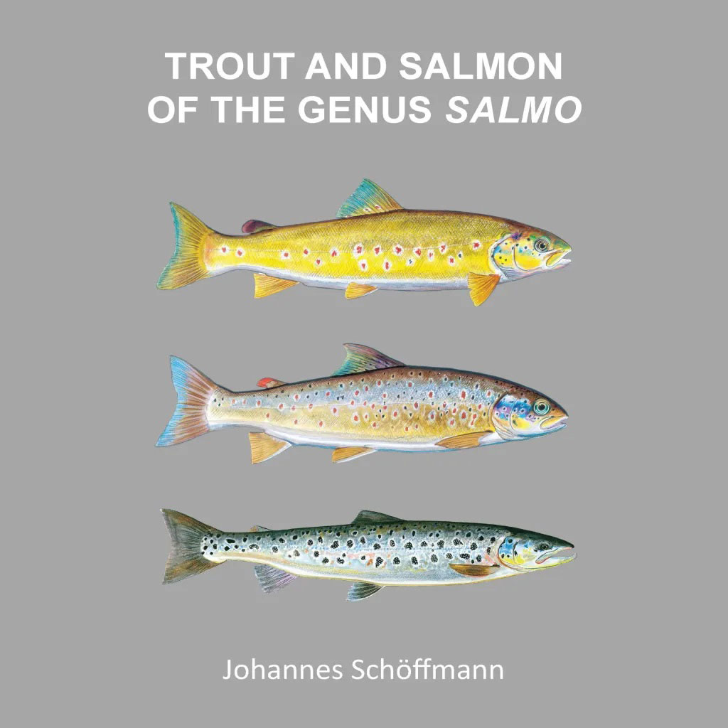 Algoma's Migratory Trout and Salmon