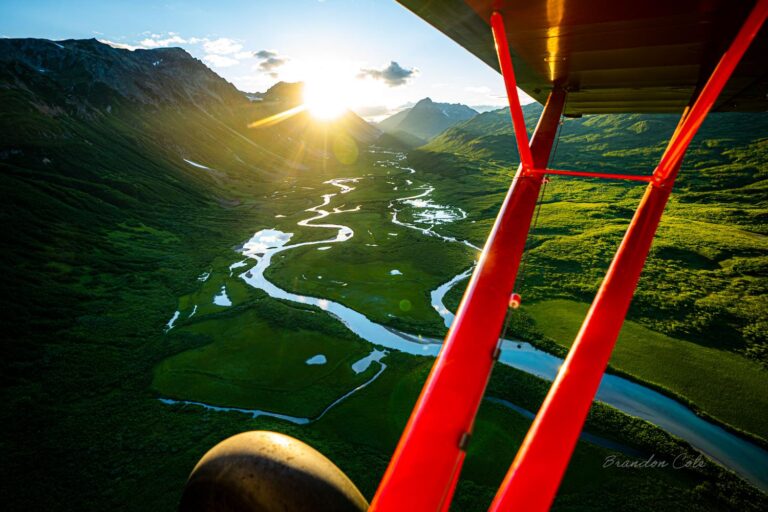 Summer of Action for the West Su