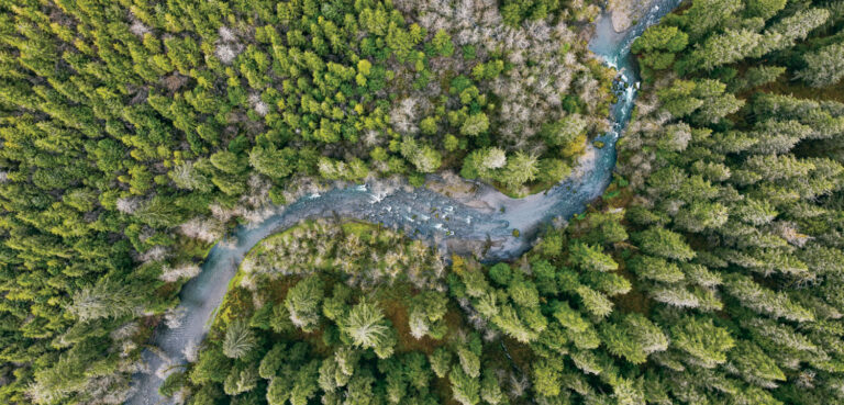 Anchoring the Tillamook’s Recovery