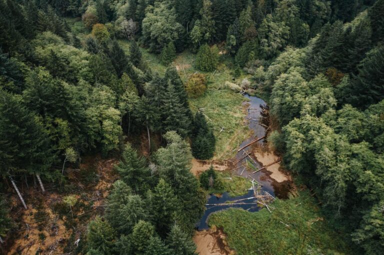 Oregon’s Water Future is Looking Brighter. Here’s Why.