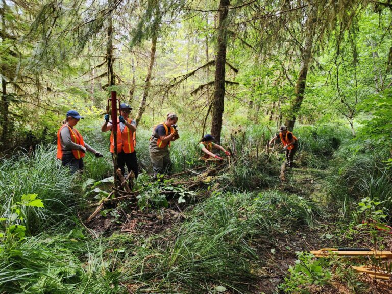 For Coho and Beavers, It’s Easy to Make PALS on the Olympic Peninsula