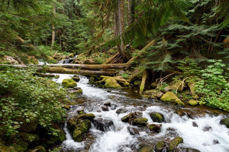 What to expect for Oregon’s 2025 legislative session