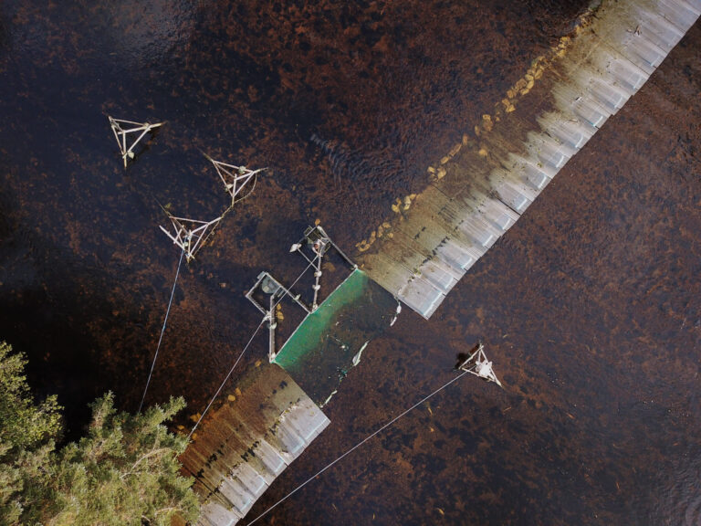 Artificial Intelligence, Meet Indigenous Fishing Technology