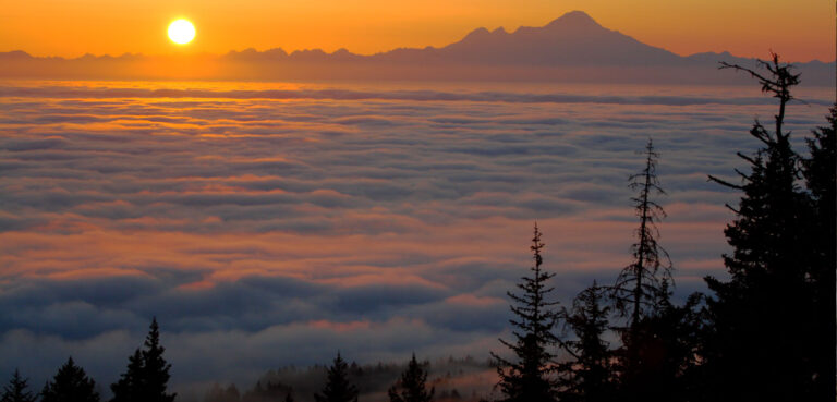 12 Reasons Why We Love 2023