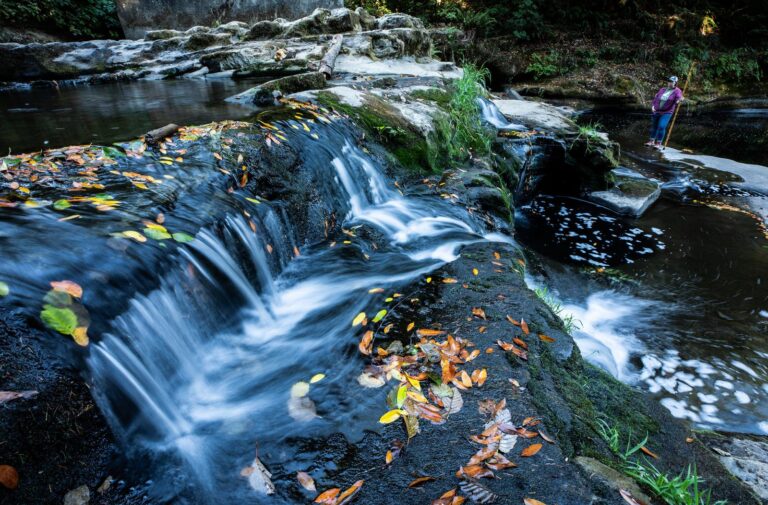 A New Path for Coho, Informed by the Past