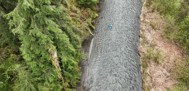 Oregon State Forest Habitat Plan Clears Key Hurdle