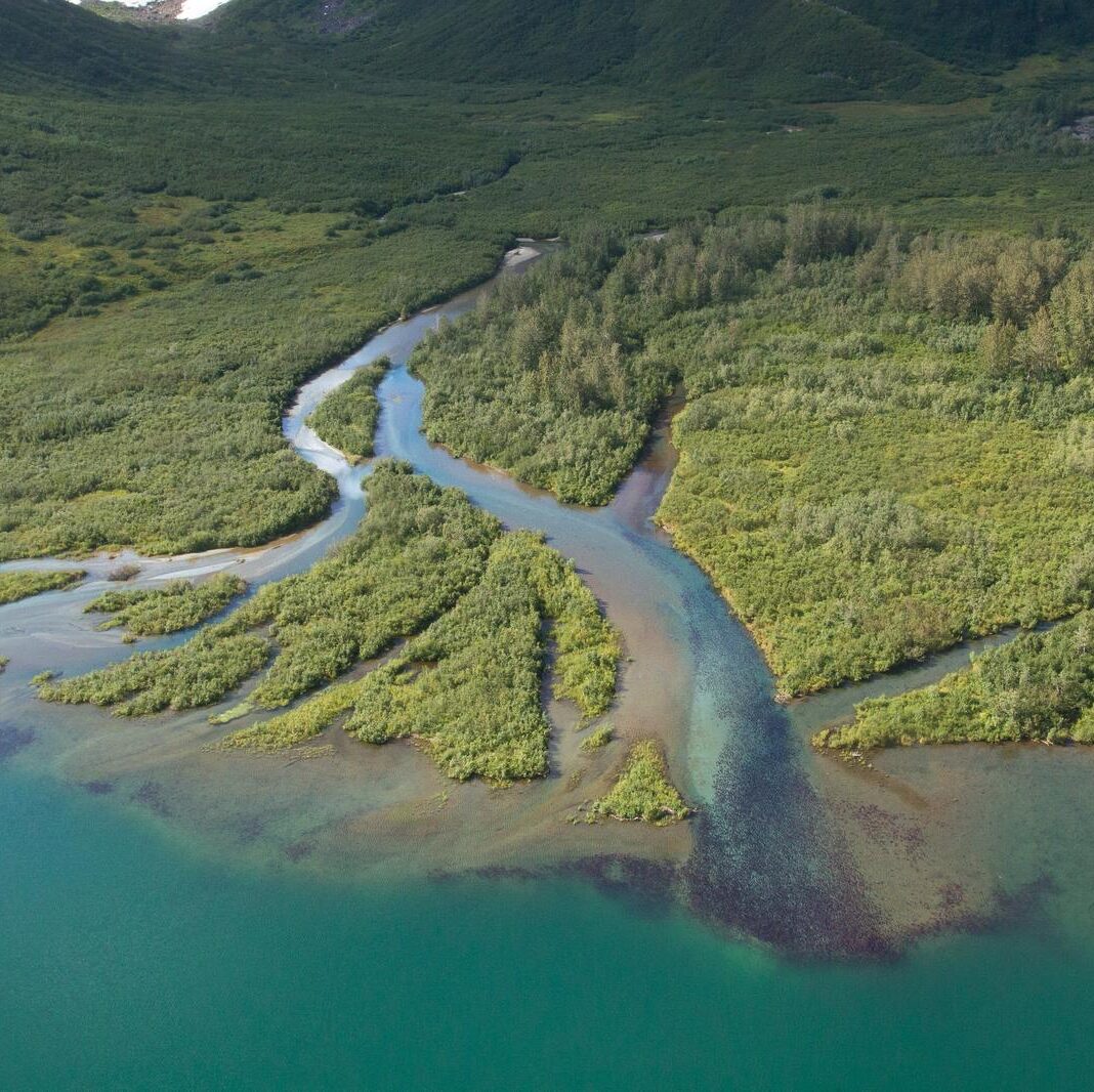 Support Alaska Conservation