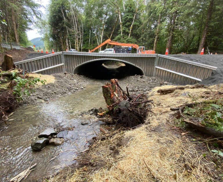 The Best Culvert for Salmon? One They Don’t Know They’re In.