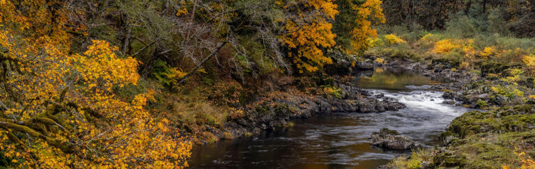 Oregon’s Private Forest Accord Turns Three. What’s Next?