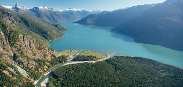 How proactive salmon conservation can deliver global benefits