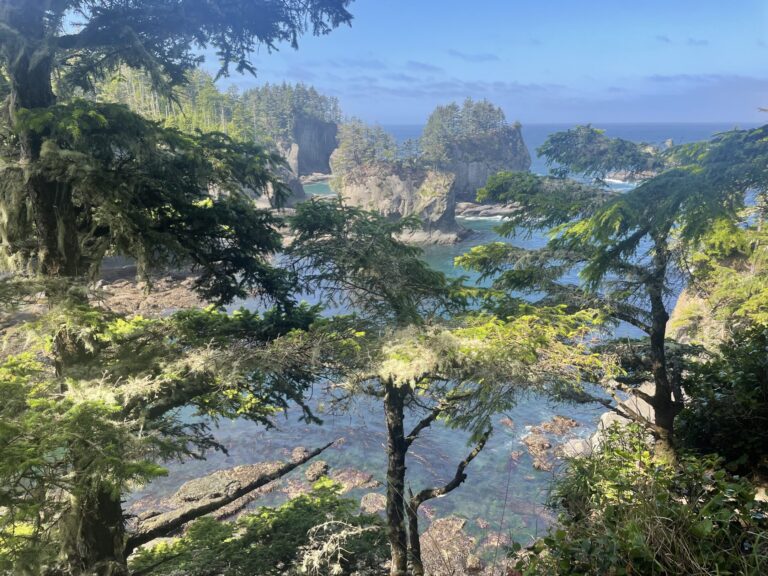 For the Makah, WWII is still a problem for salmon streams