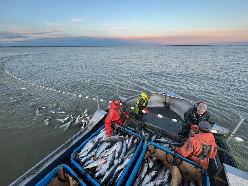 wildsalmoncenter.org