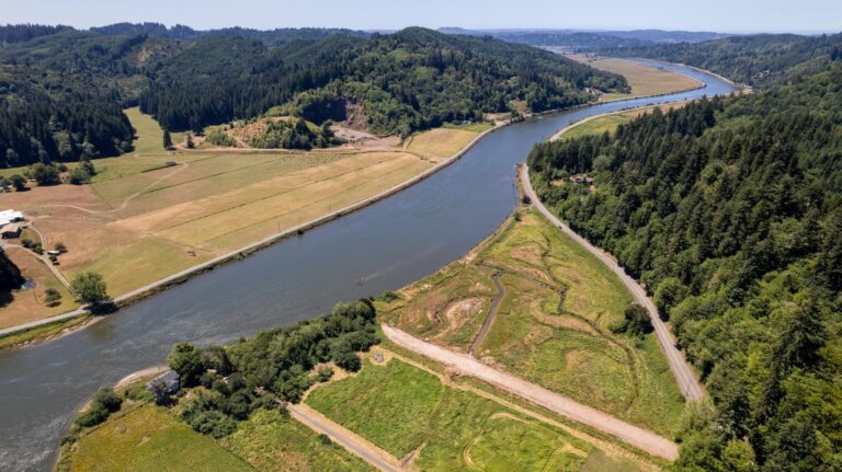 At low tide, a high water mark for an Oregon restoration project