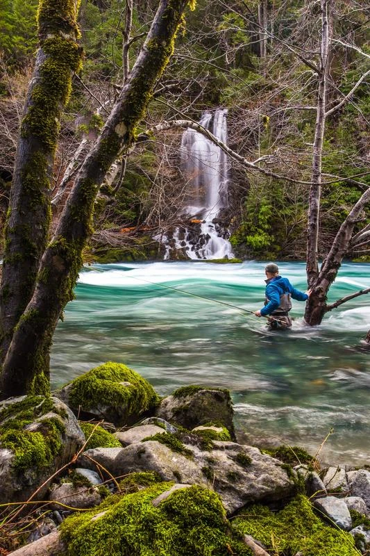 Help Protect Wild Salmon