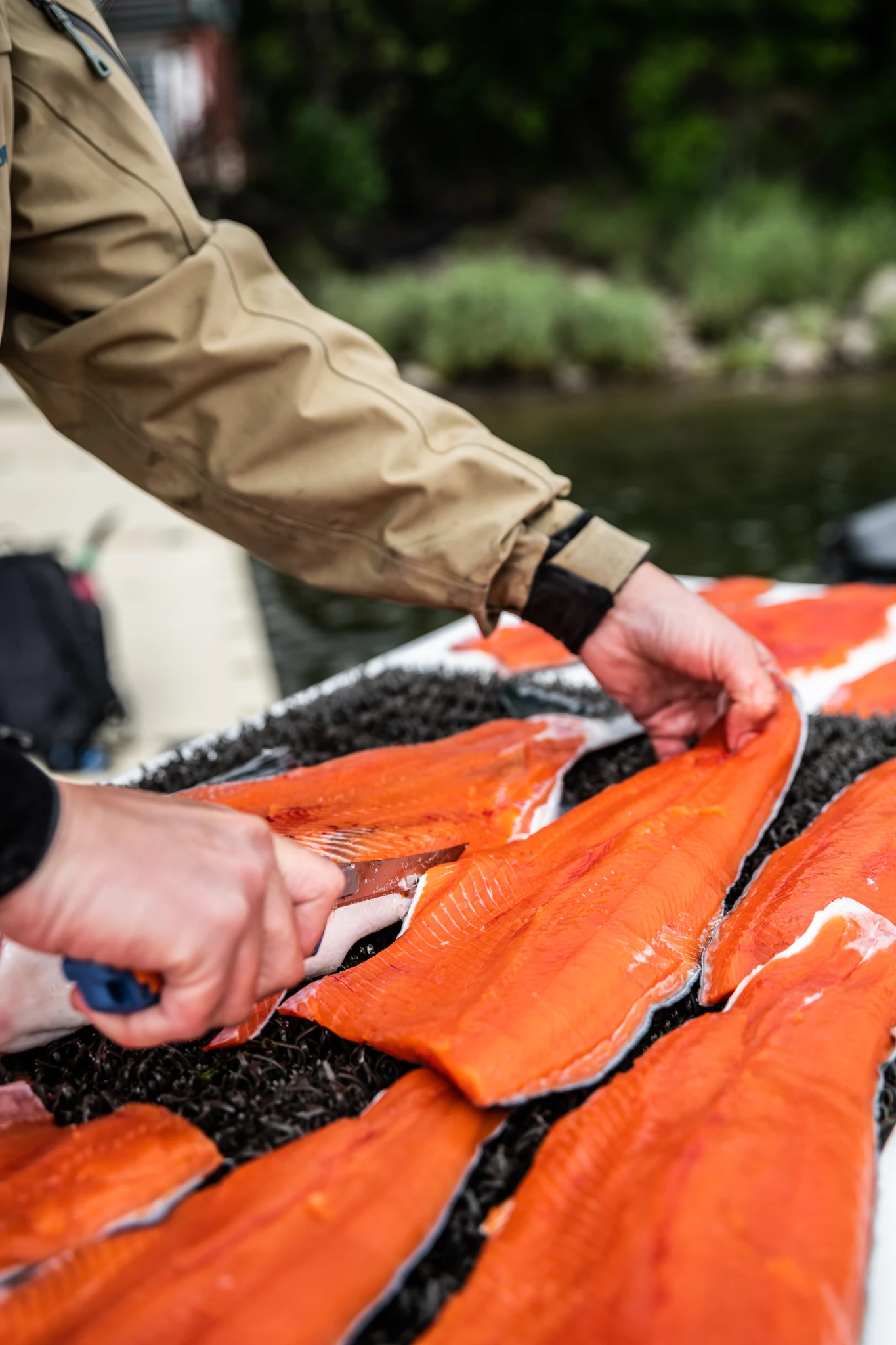 36fa0ca3cd786595bcfbedce4e850049d2d31f1c