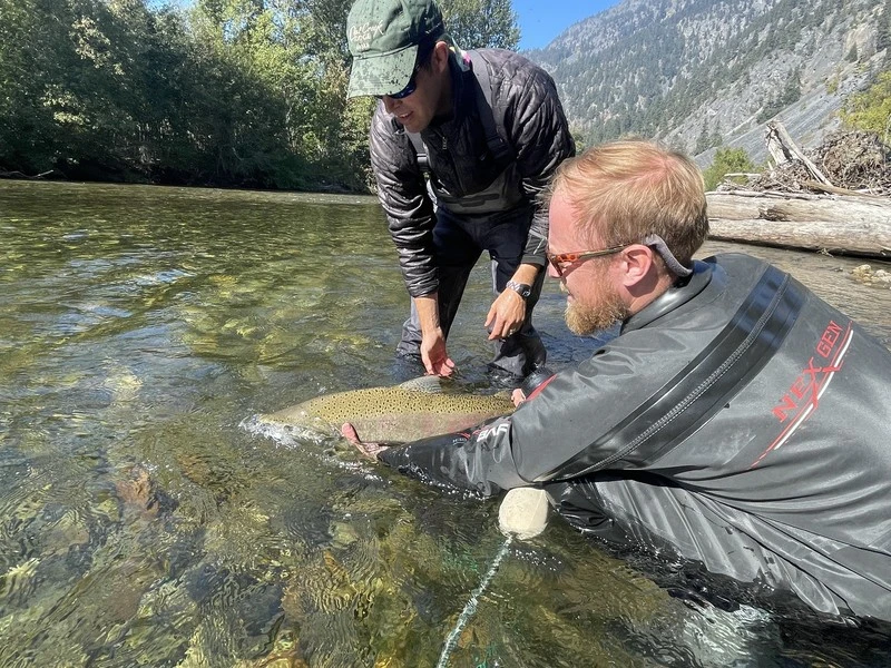 93b50b4183072f1caedf990f7cfae69718856f7a