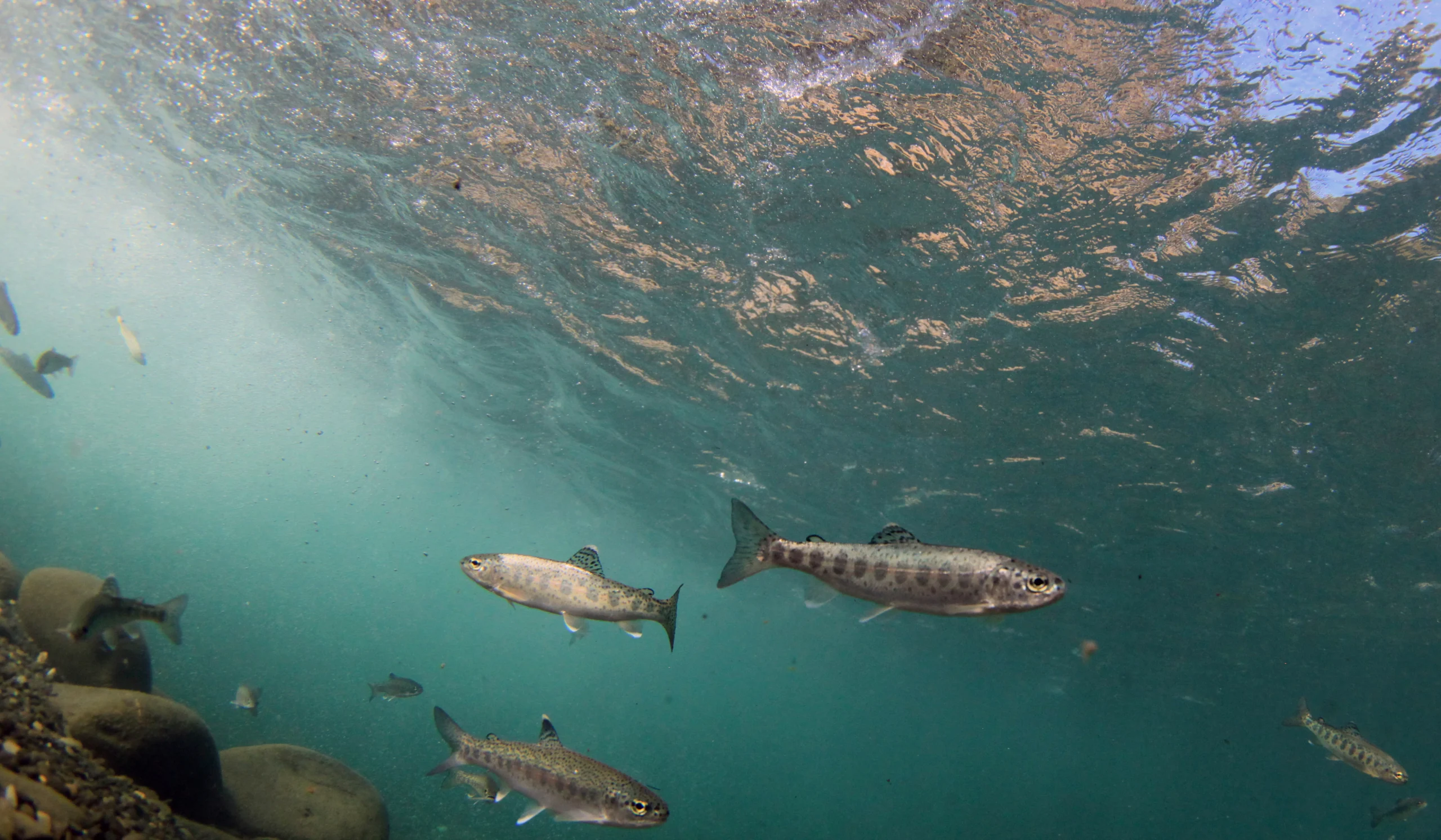 AK BB AdobeStock_653323070 1