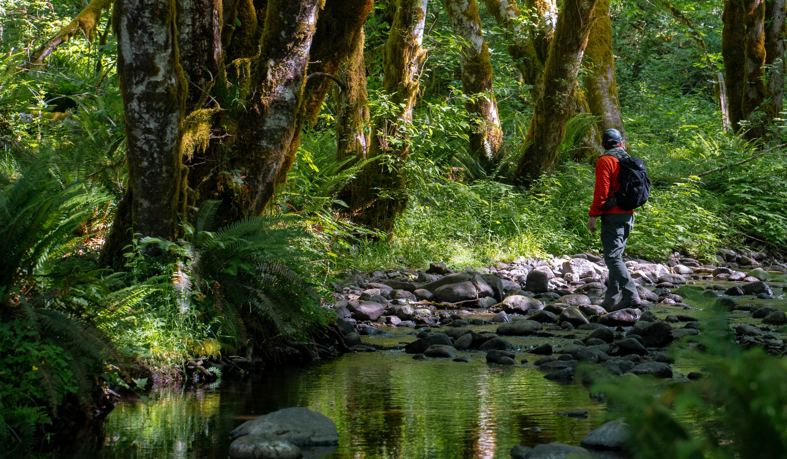 AK BB AdobeStock_653323070 1