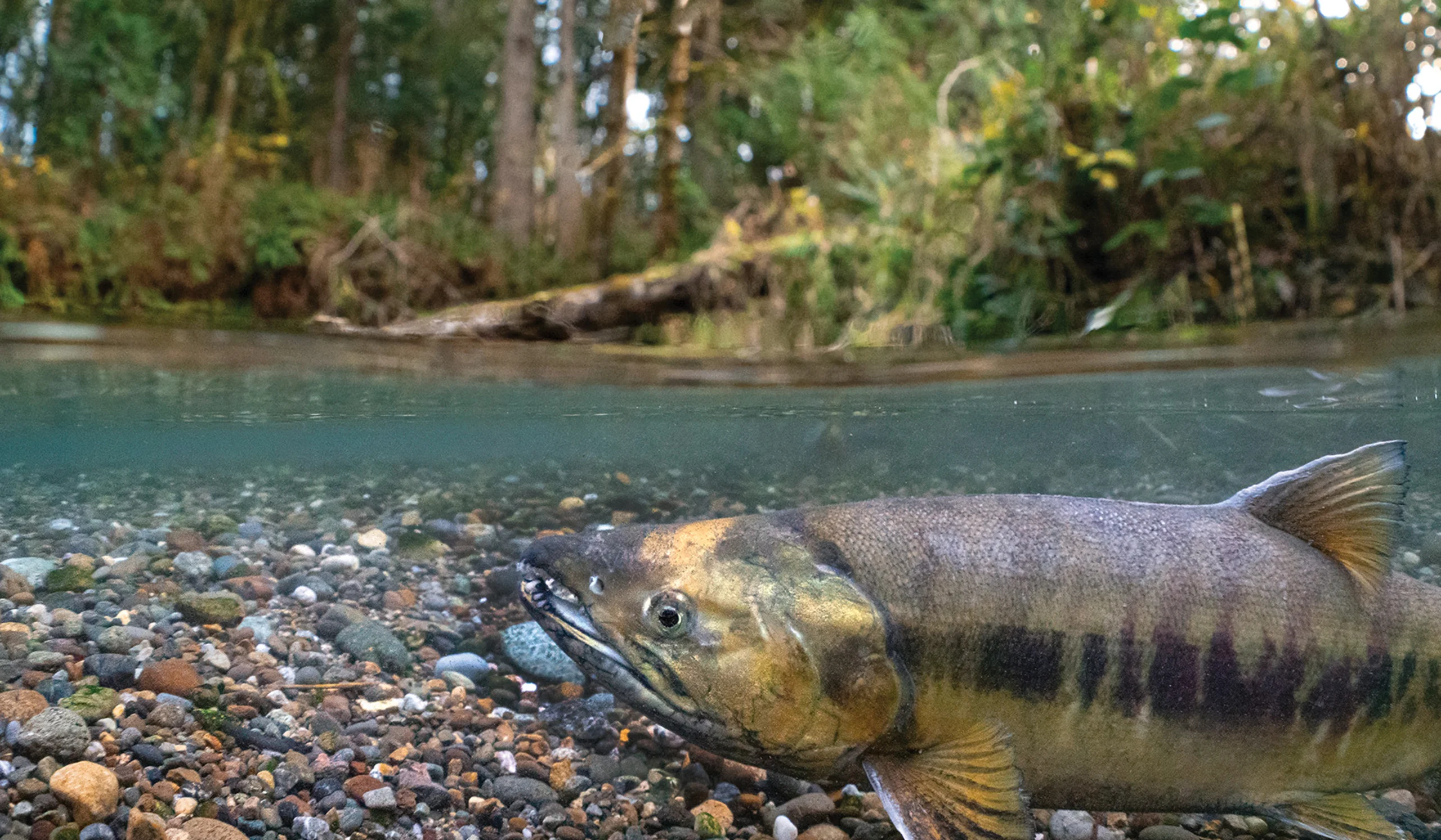 AK BB AdobeStock_653323070 1