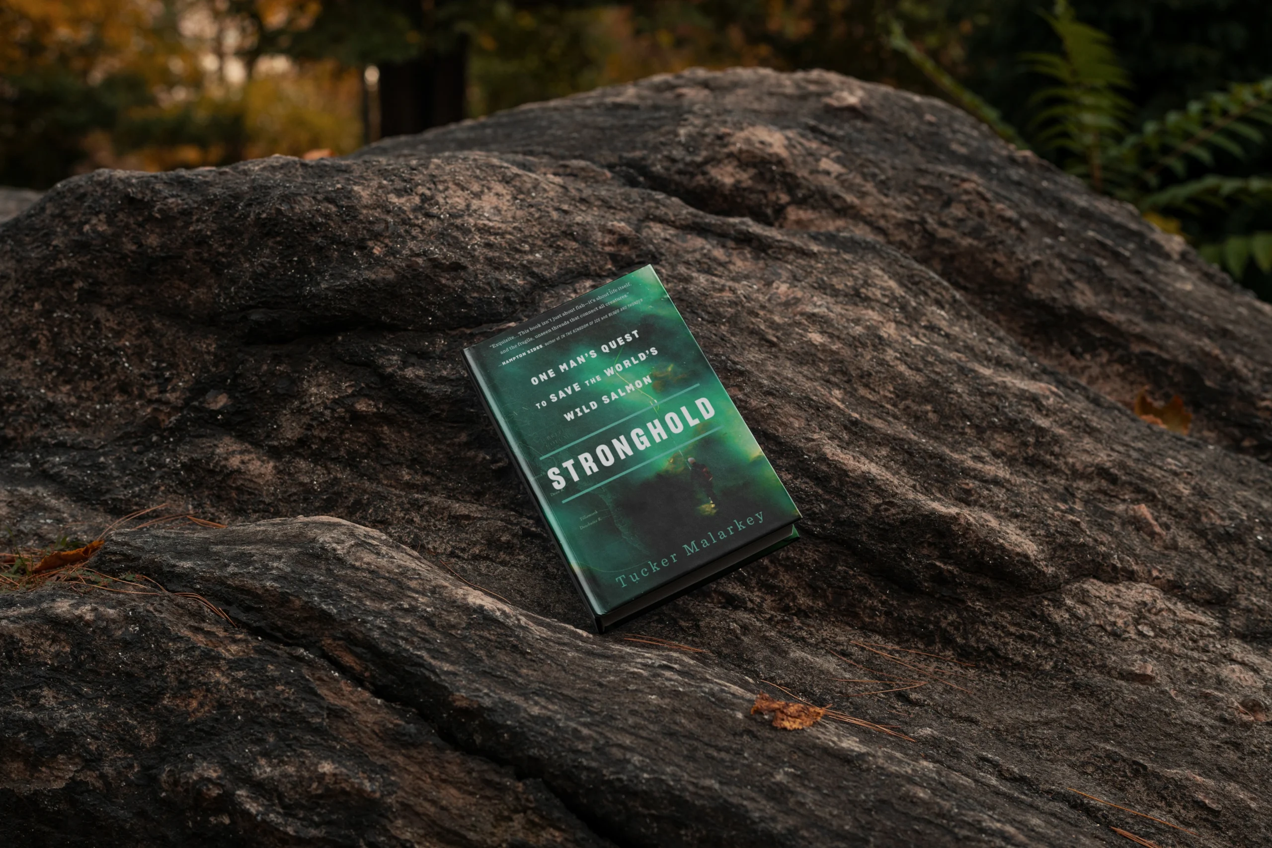 b3dceb6656037c7f368f7f6a4d7f3ec83c6fcd74