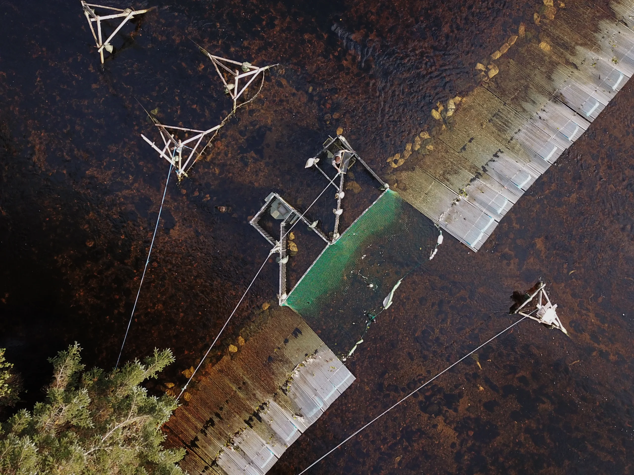 BC-Koeye-River-09-2023-Olivia-Leigh-Nowak-04