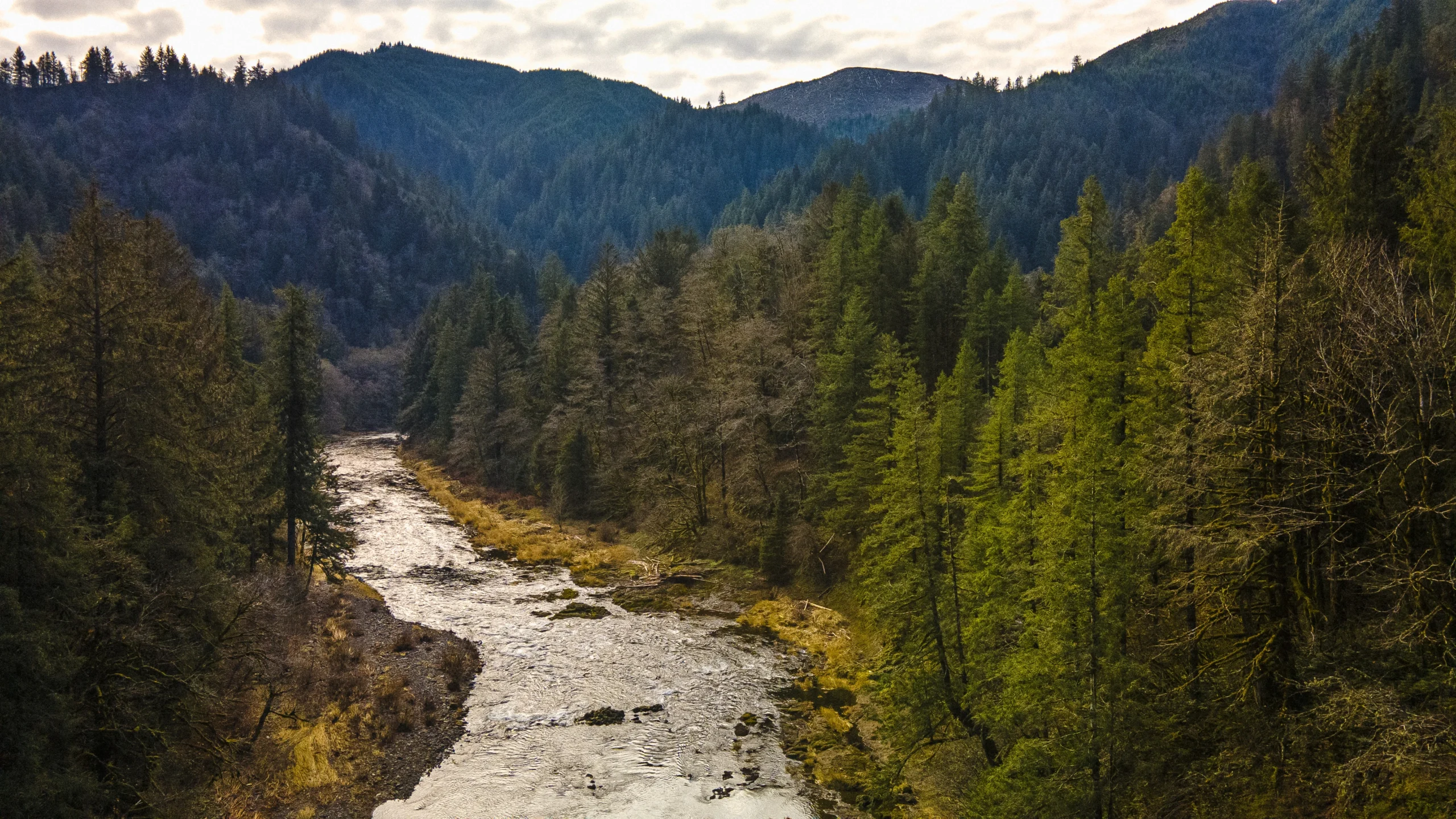 cc41af7d2e977dd87a24730ea55a63714a067af1