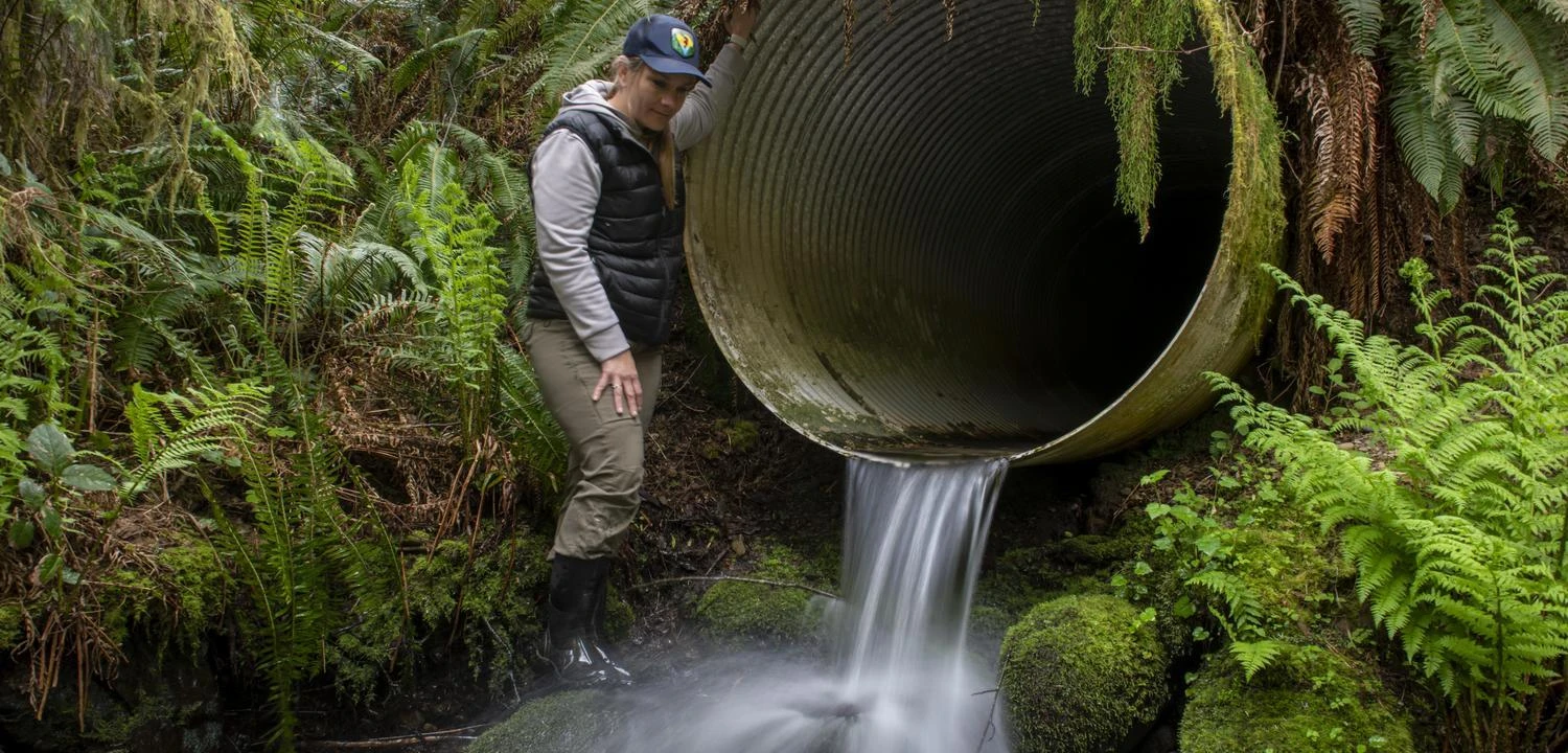 _DSC2707_Ronald Hope