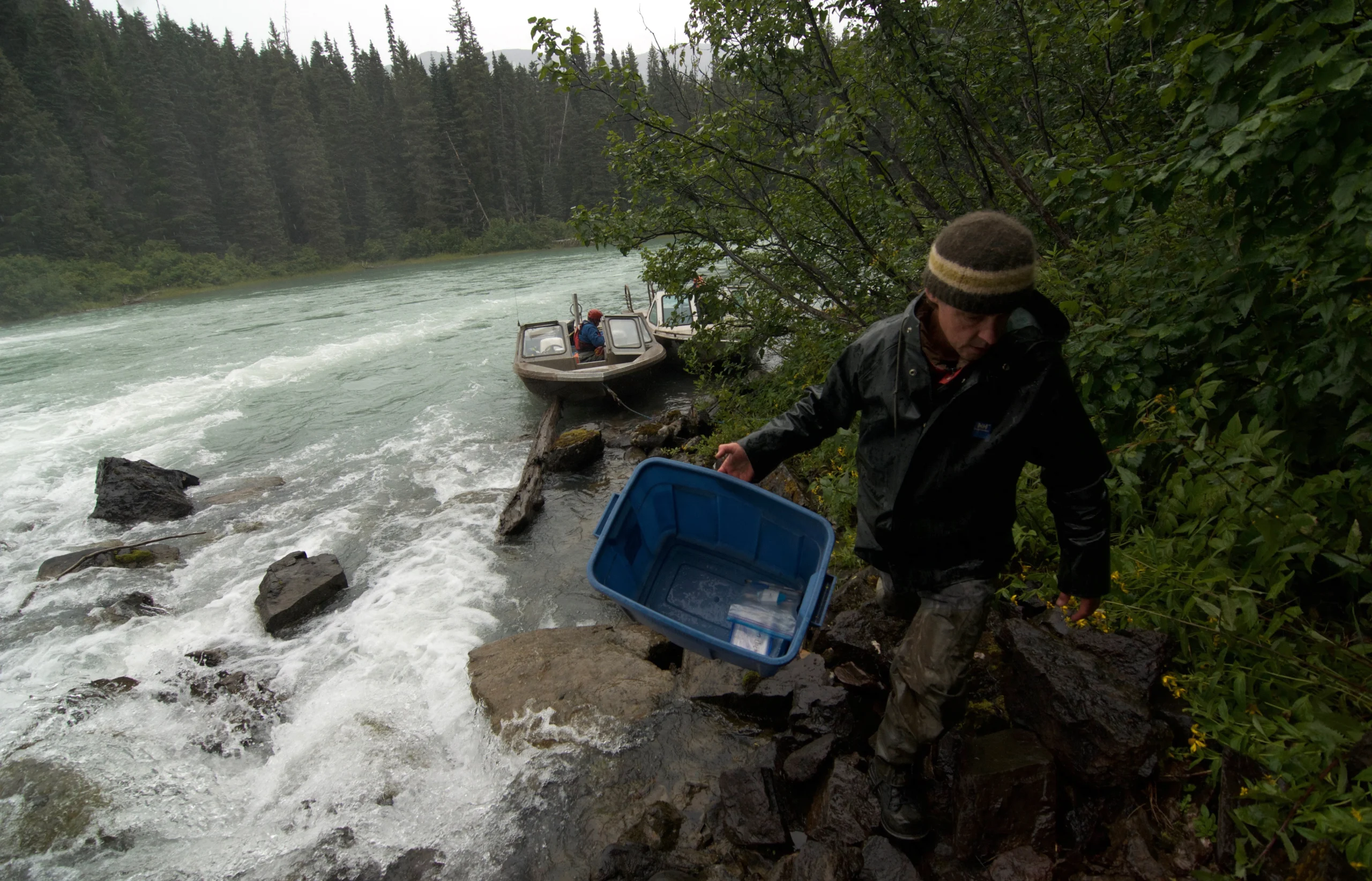 Mike P_Morice Lake Sockeye samples_06