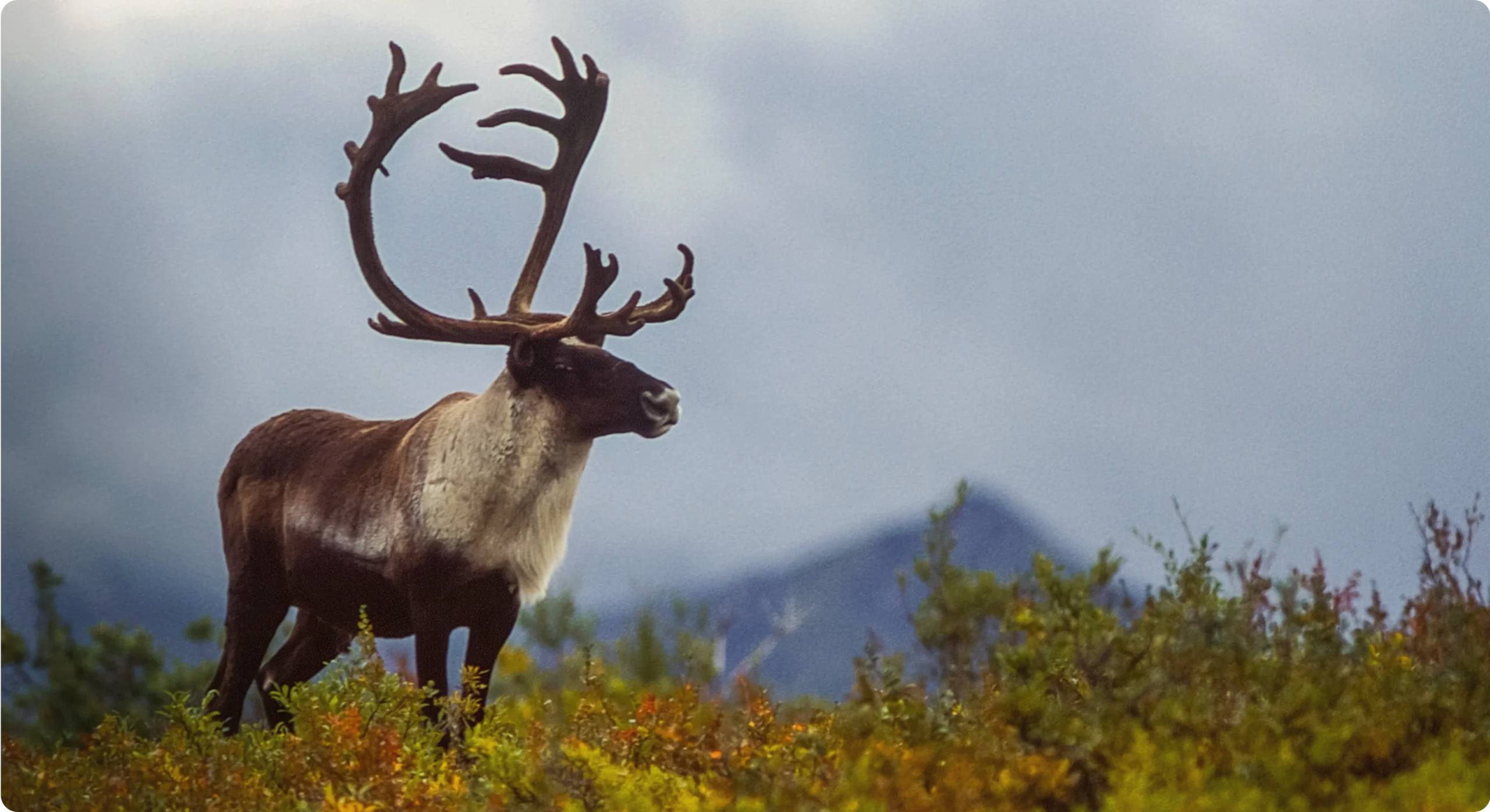 Feature article image