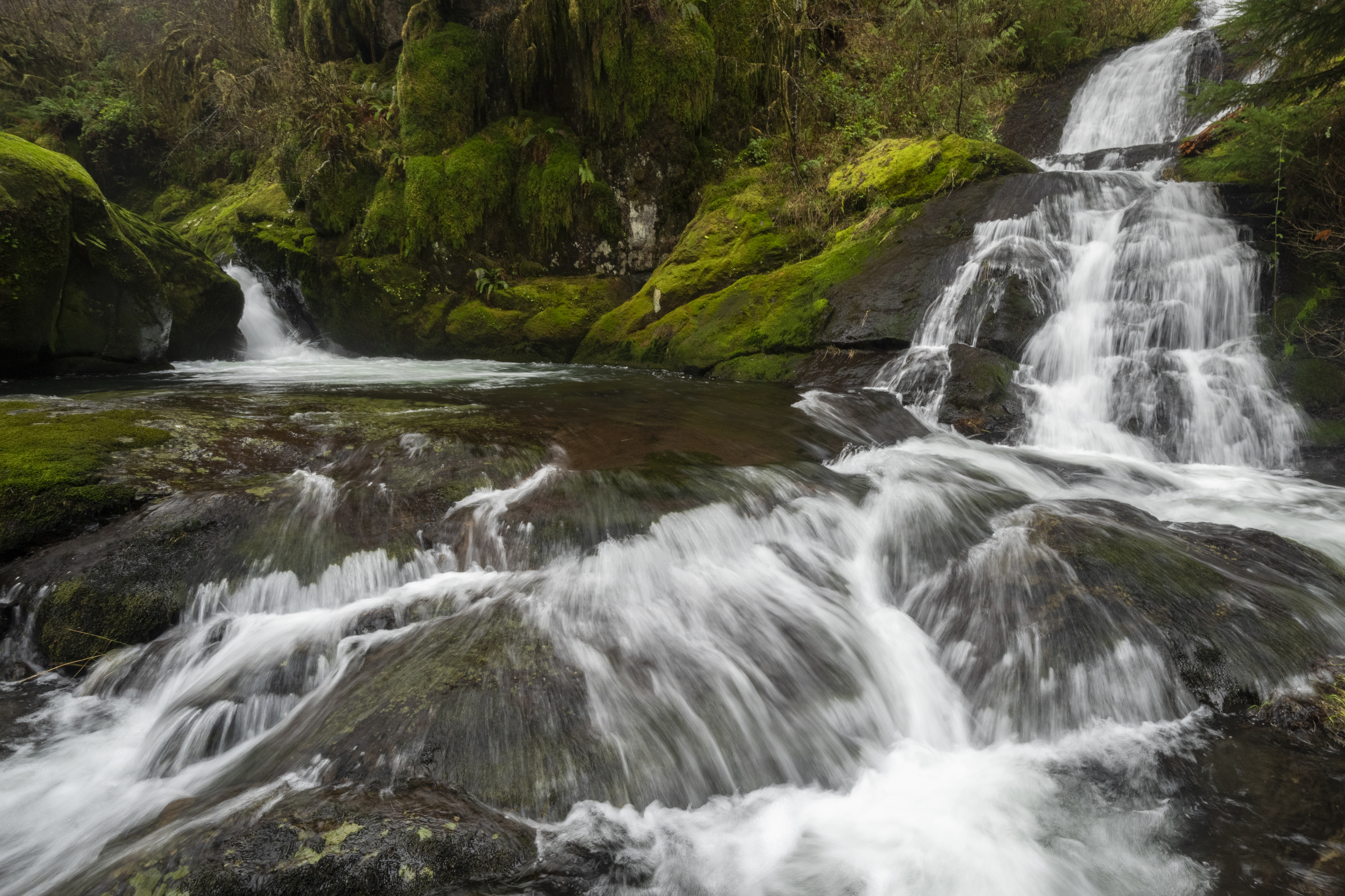 Oregon Water Partnership