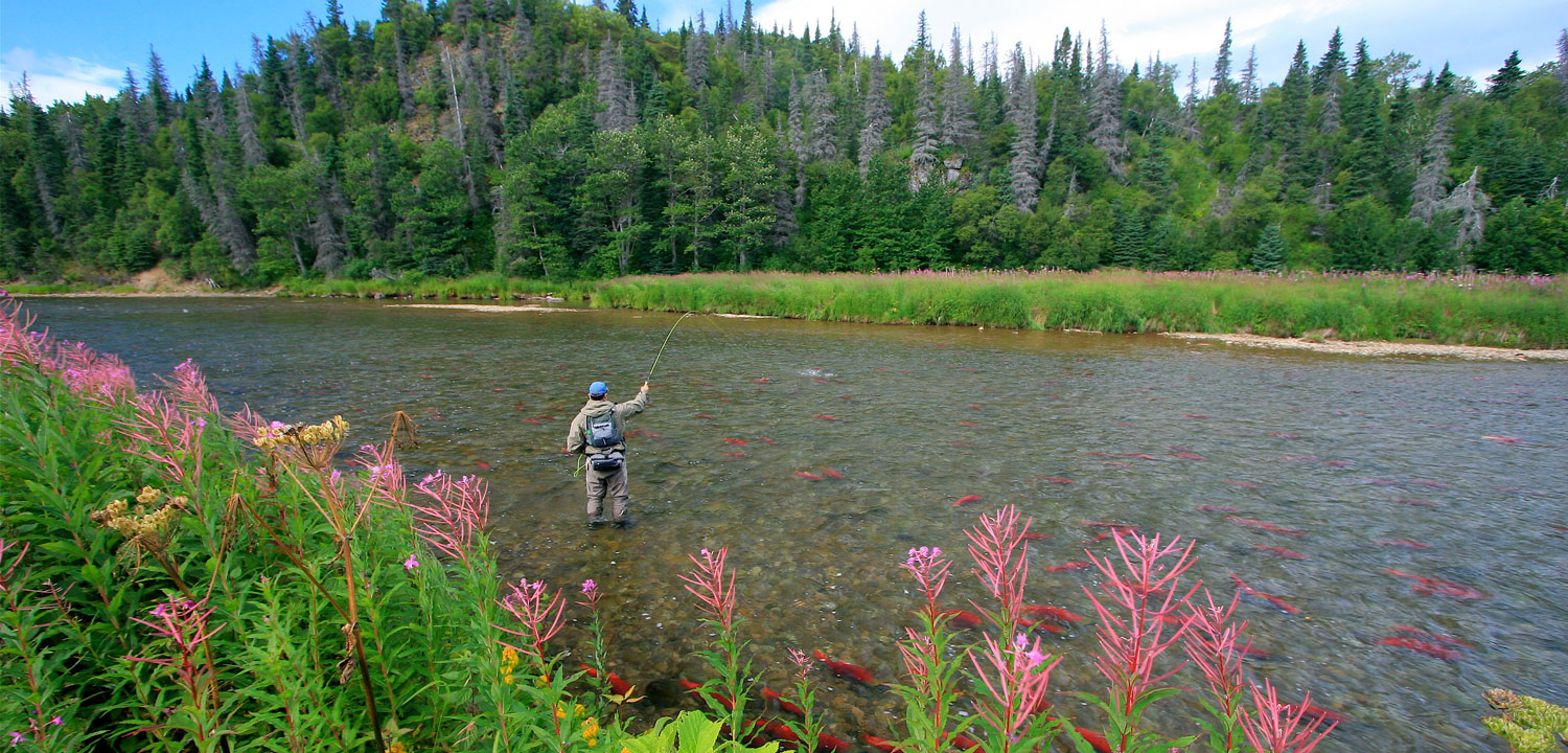 Protect Bristol Bay Forever