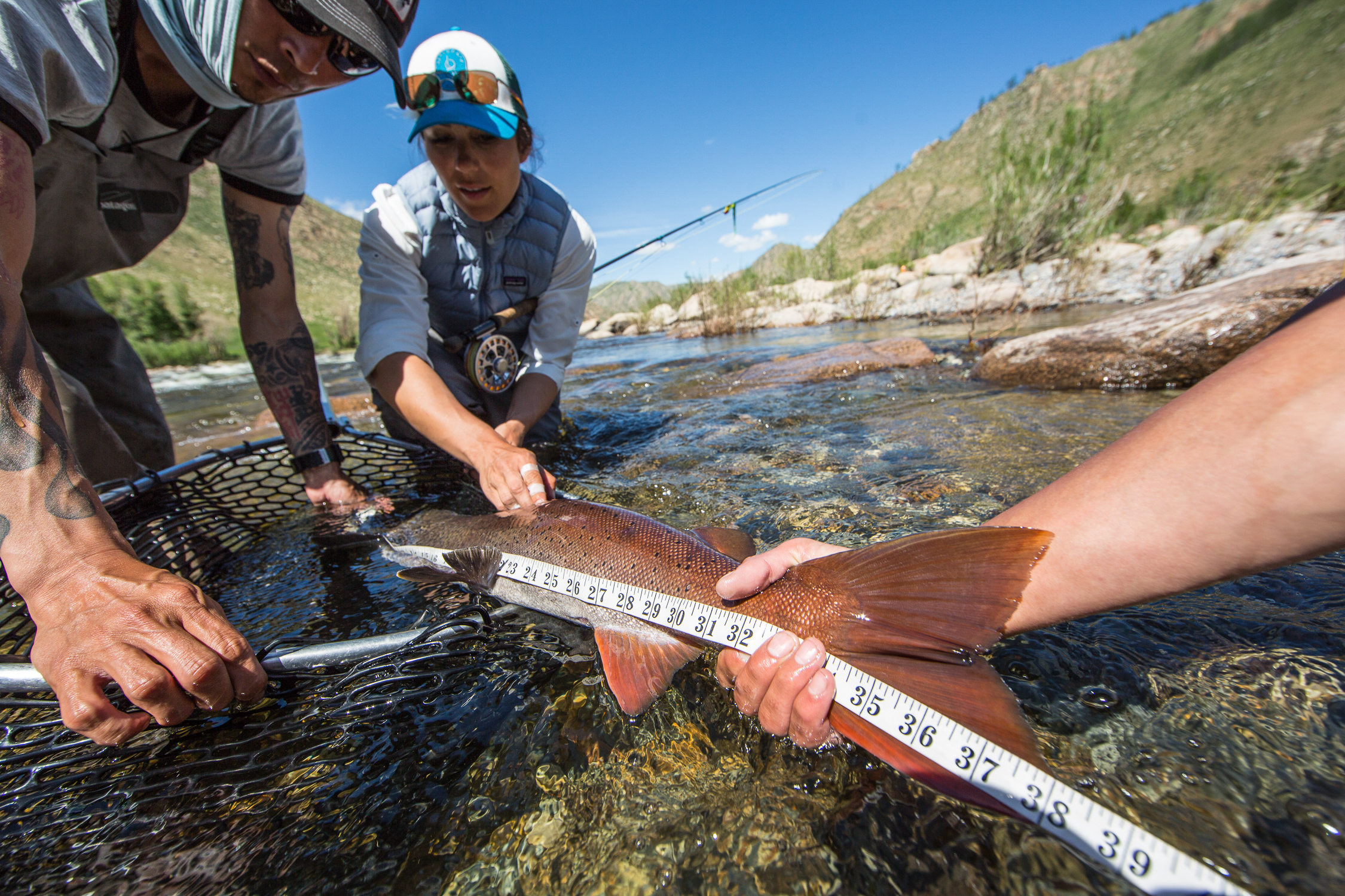 science, Andrew Burr, taimen, Conservation, Mongolia