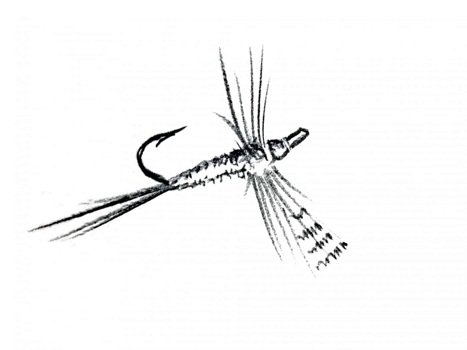 Light Cahill Dry Fly