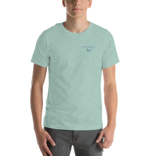 Men's t-shirt (more colors)