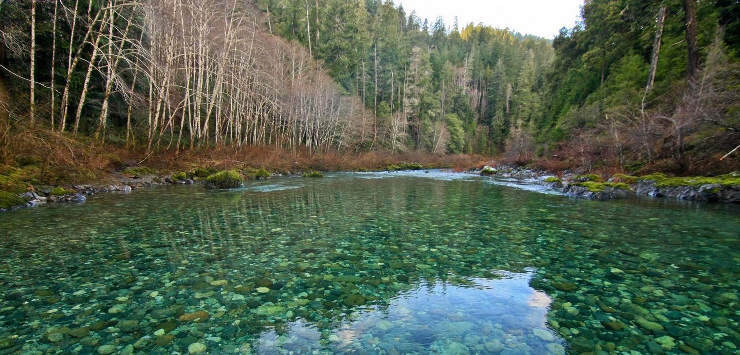 Season/weather, river, California, forest, Red Flat System, Autumn
