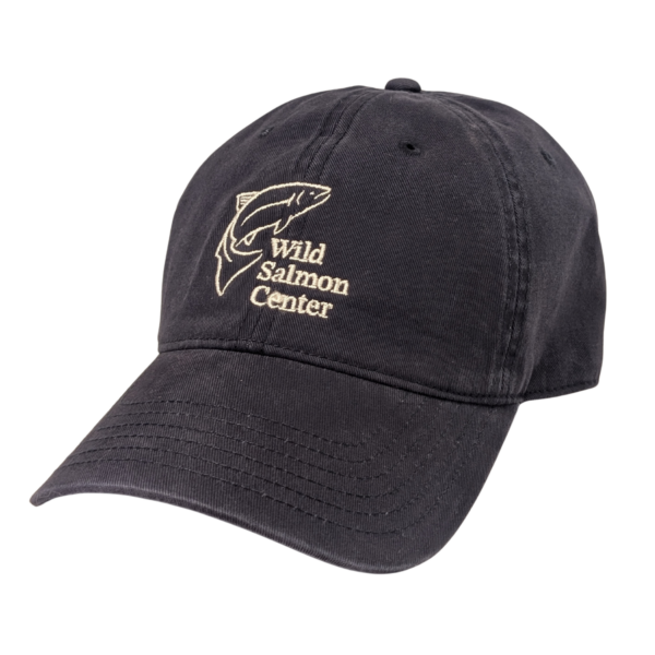 WSC Ball Cap