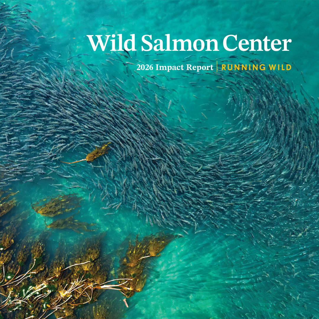 WSC 2026 Impact Report-cover-1080